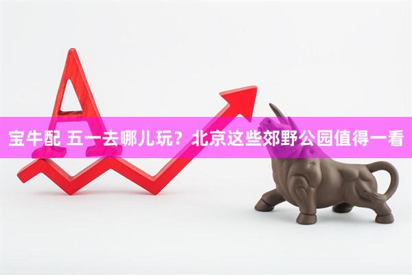 宝牛配 五一去哪儿玩？北京这些郊野公园值得一看