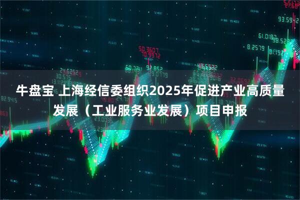 牛盘宝 上海经信委组织2025年促进产业高质量发展（工业服务业发展）项目申报
