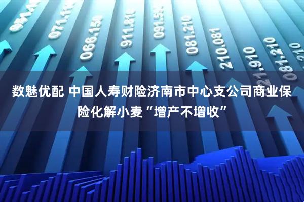 数魅优配 中国人寿财险济南市中心支公司商业保险化解小麦“增产不增收”