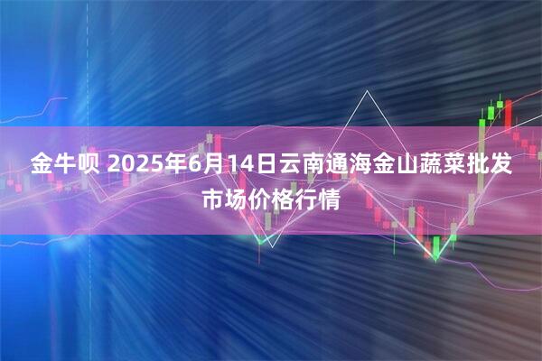金牛呗 2025年6月14日云南通海金山蔬菜批发市场价格行情